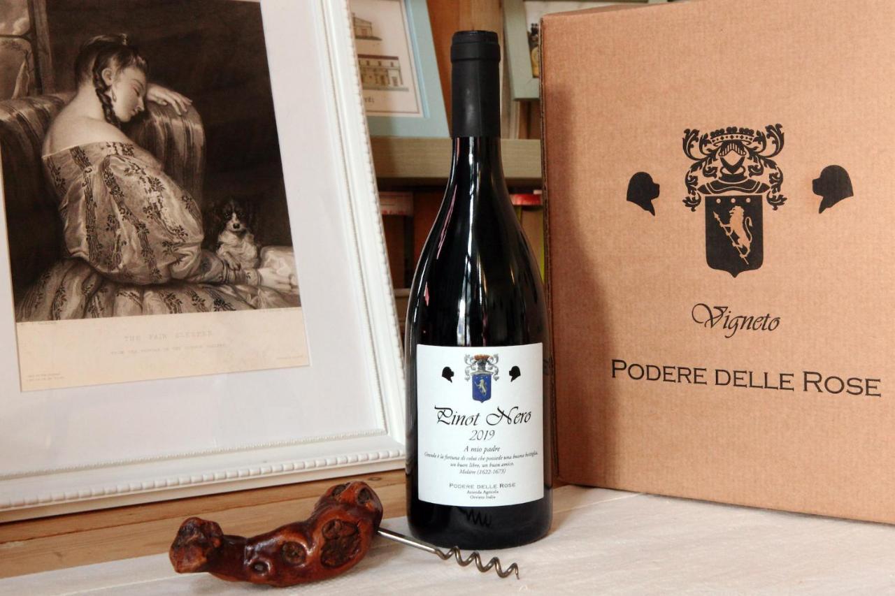 Podere Delle Rose Torre San Severo Ngoại thất bức ảnh